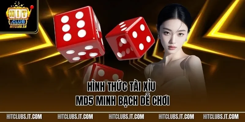 Hình thức tài xỉu MD5 minh bạch dễ chơi