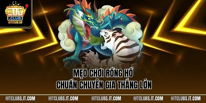 Mẹo chơi Rồng Hổ chuẩn chuyên gia thắng lớn